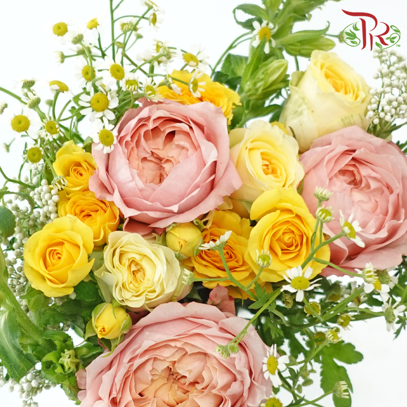 Signature Weekly Flower Bunch - Sunshine Bliss (Rose, Campanula, Matricaria & Rice Flower) (Medium Size)