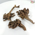 Thorn Tree《刺树》1KG
