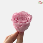 8 Blooms Preserved Roses - Sweet Pink