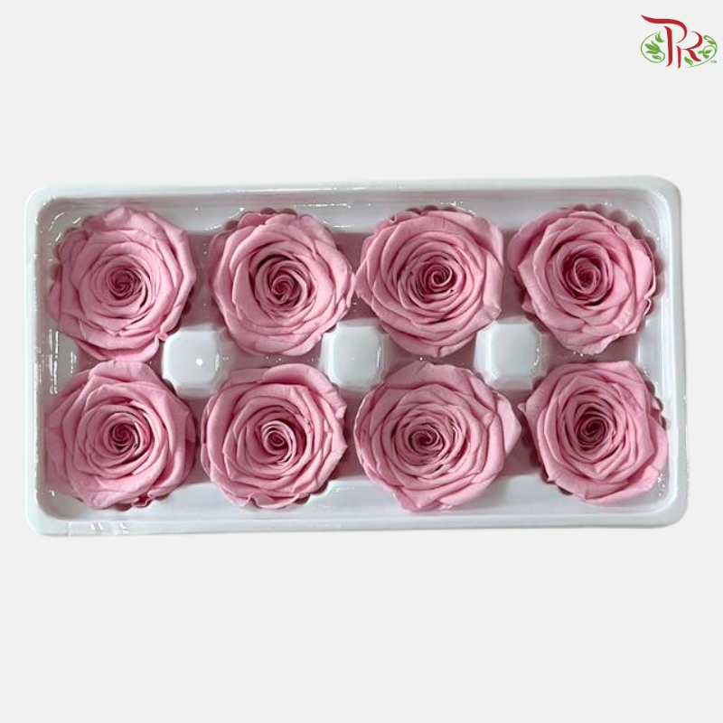 8 Blooms Preserved Roses - Sweet Pink