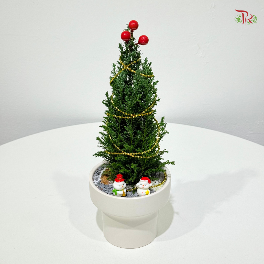 【XMAS 2025】Forest of Christmas 圣诞之森