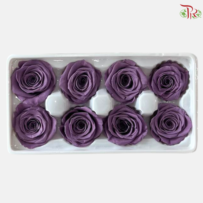 8 Blooms Preserved Roses - Morandi Purple