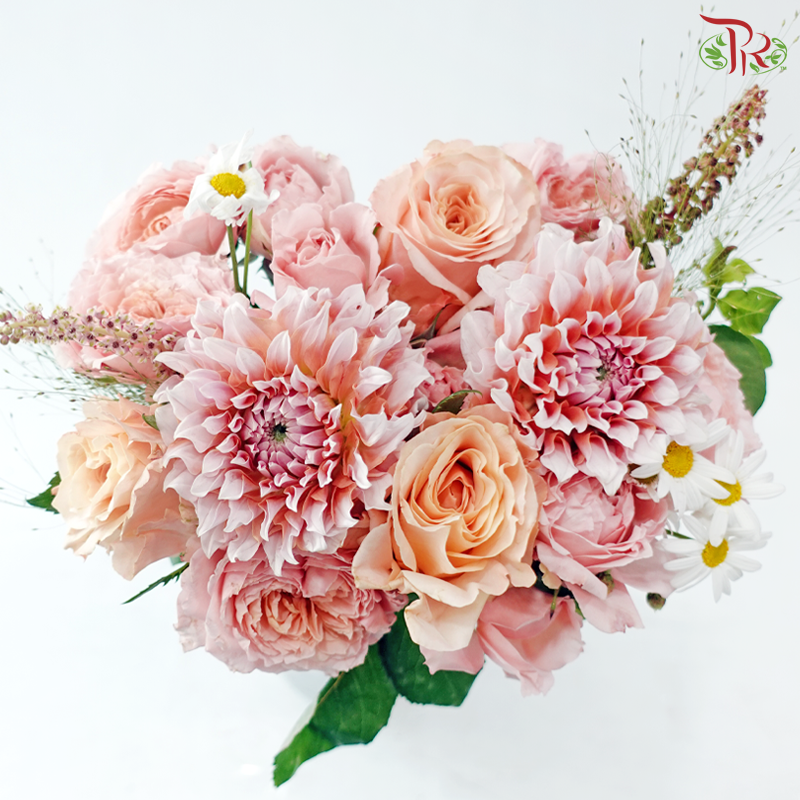 Signature Weekly Flower Bunch - Sweet Dahlia Aura (Big Bunch)