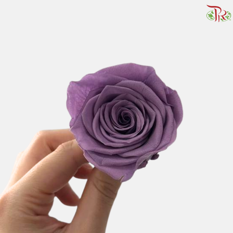 8 Blooms Preserved Roses - Morandi Purple
