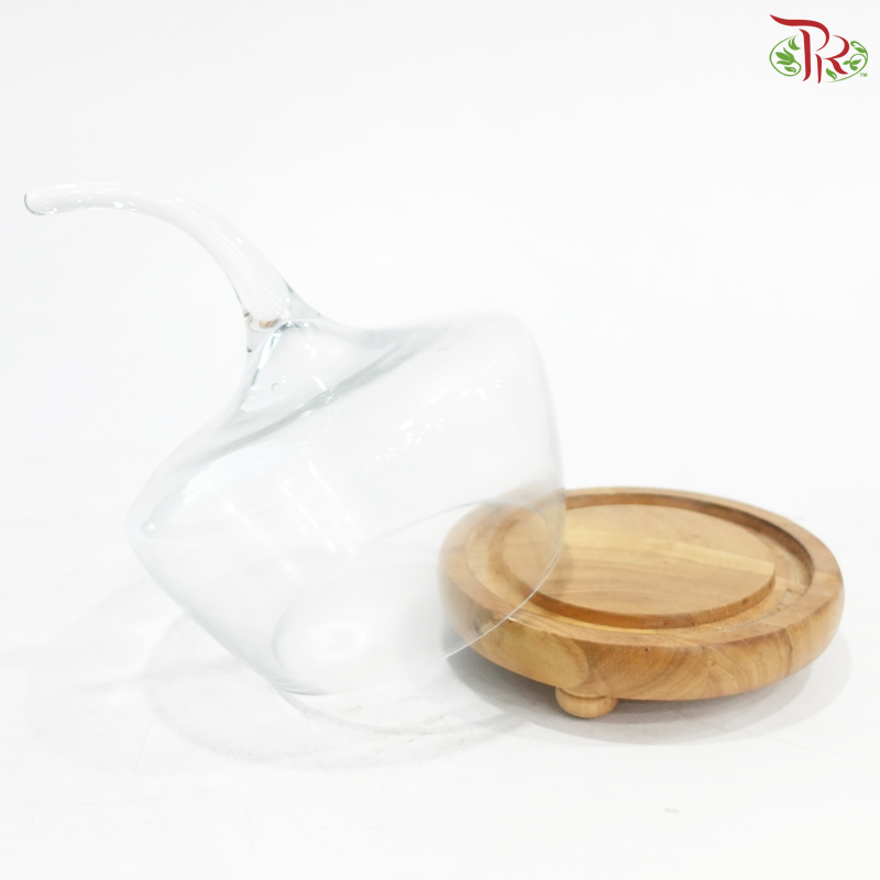 283724W - Pumpkin Shape Glass Dome