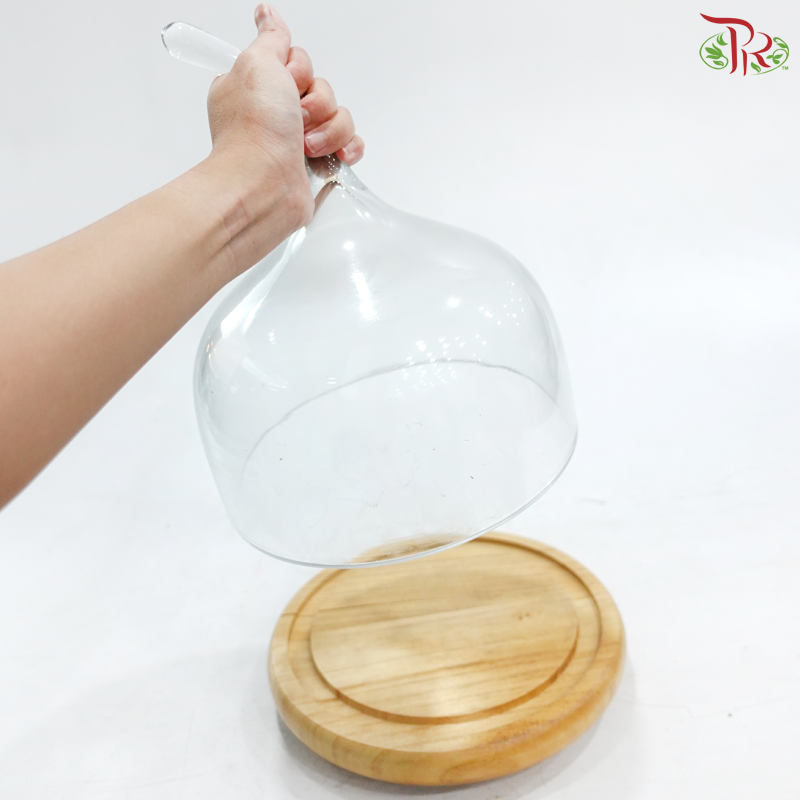 284424W - Pear Shape Glass Dome