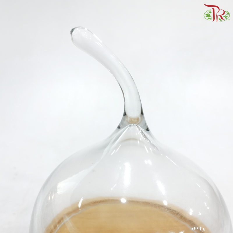 284424W - Pear Shape Glass Dome