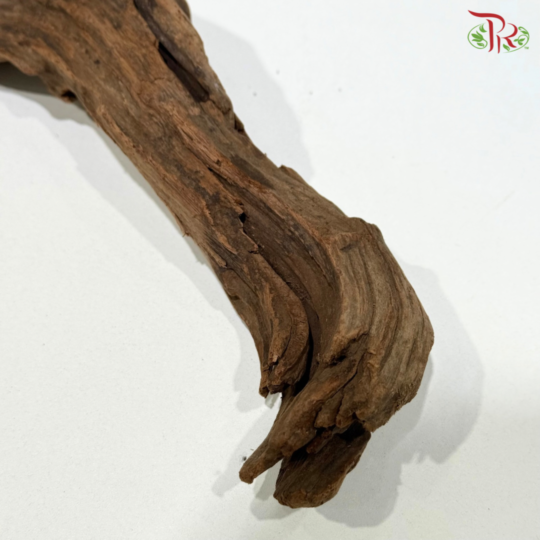 SUNKEN WOOD《沉木》1KG