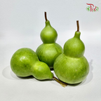 Fresh Bottle Gourd《葫芦籽》(Per Unit)