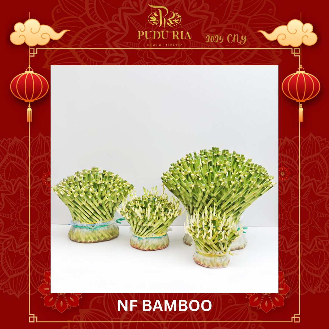 NF BAMBOO 大展宏图 (15cm/20/cm/30cm/40cm)