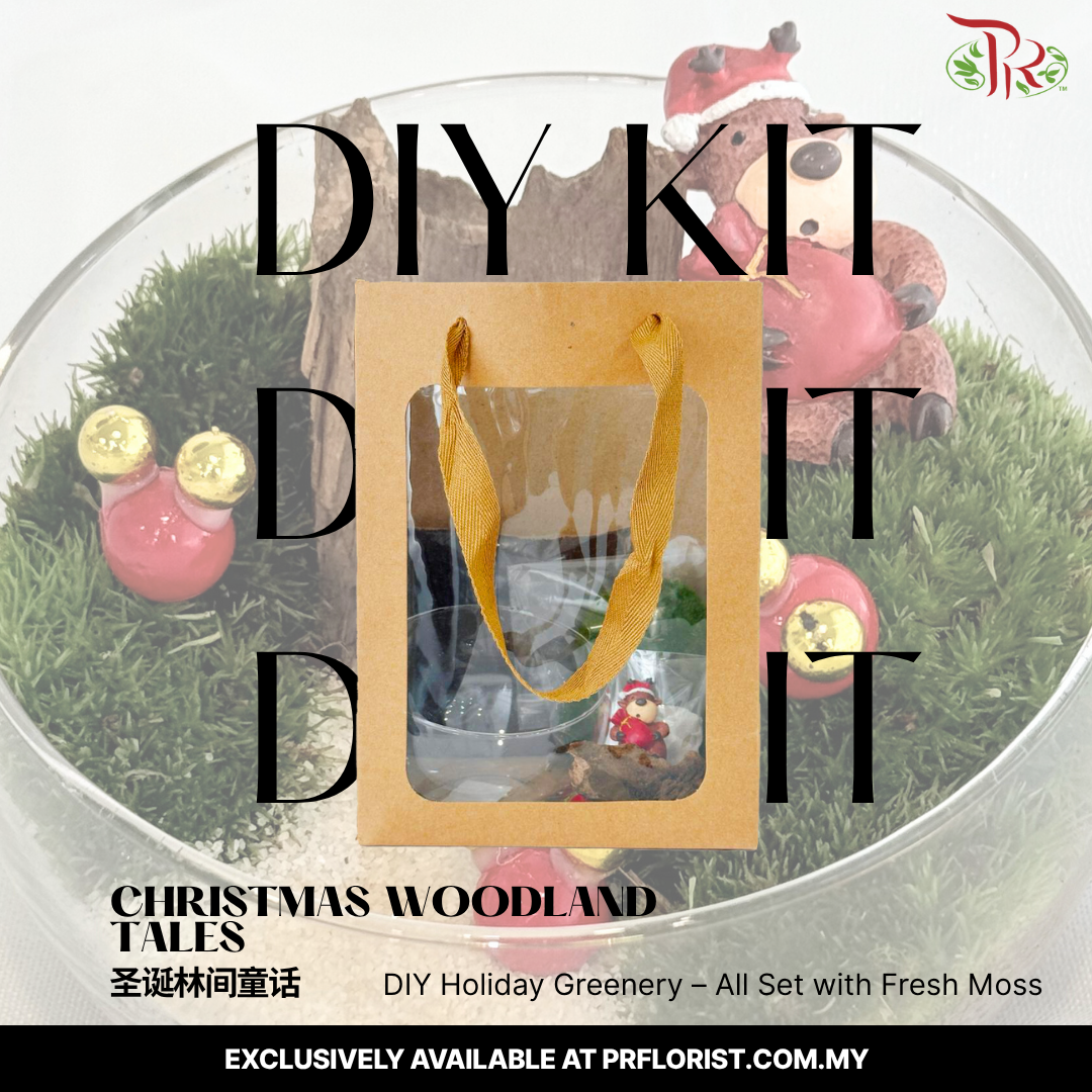 【XMAS 2025】Christmas Woodland Tales - DIY set 圣诞林间童话