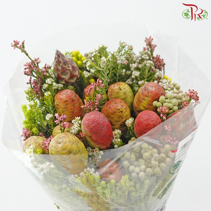 Safari Cone Mix Jumbo Bouquet - (Per Bunch) (**Random Choose Cone / Fillers)