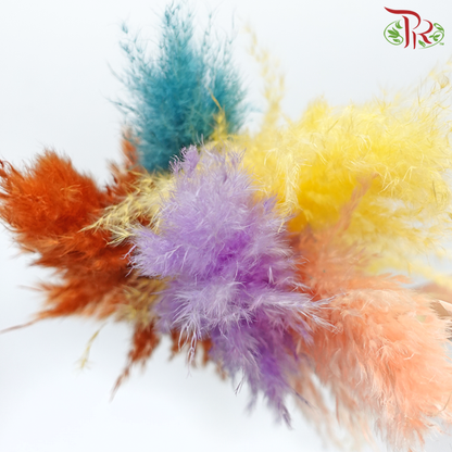 Dry Pampas 100cm - Assorted Colour 03 (5 Stems) - Pudu Ria Florist
