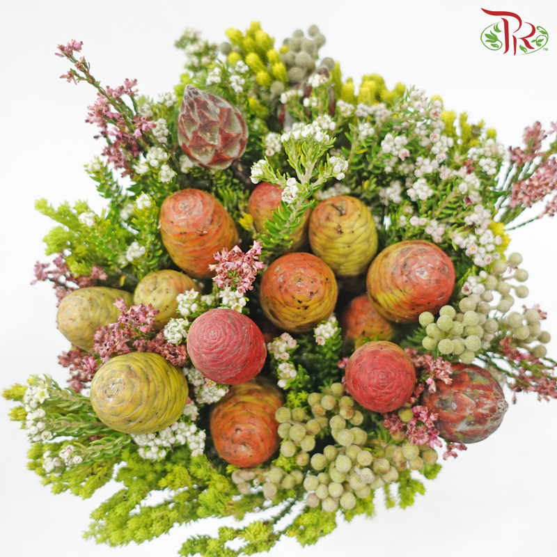 Safari Cone Mix Jumbo Bouquet - (Per Bunch) (**Random Choose Cone / Fillers)