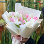 Tulip Kisses (Random Choose Tulip Color)
