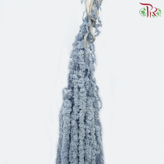Preservative Amaranthus Hanging - Greyish Blue - Pudu Ria Florist