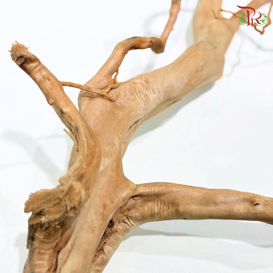 FINE STRIP DUJUANGEN ROOT《精品条形杜鹃根》1KG