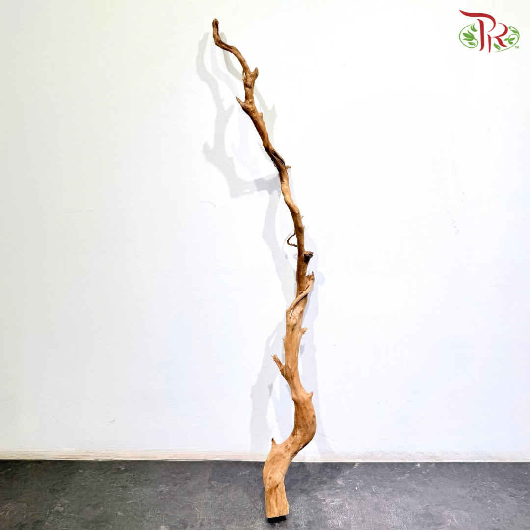 FINE DUJUANGEN ROOT《精品杜鹃根》1KG