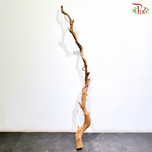 FINE DUJUANGEN ROOT《精品杜鹃根》1KG