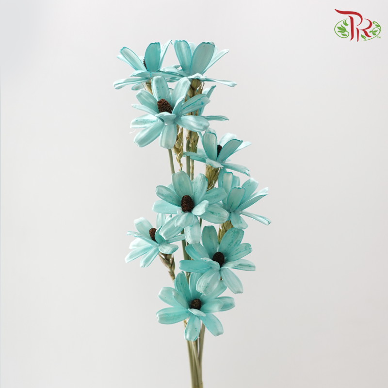 Dried Sunflower-seeds Flower - Blue