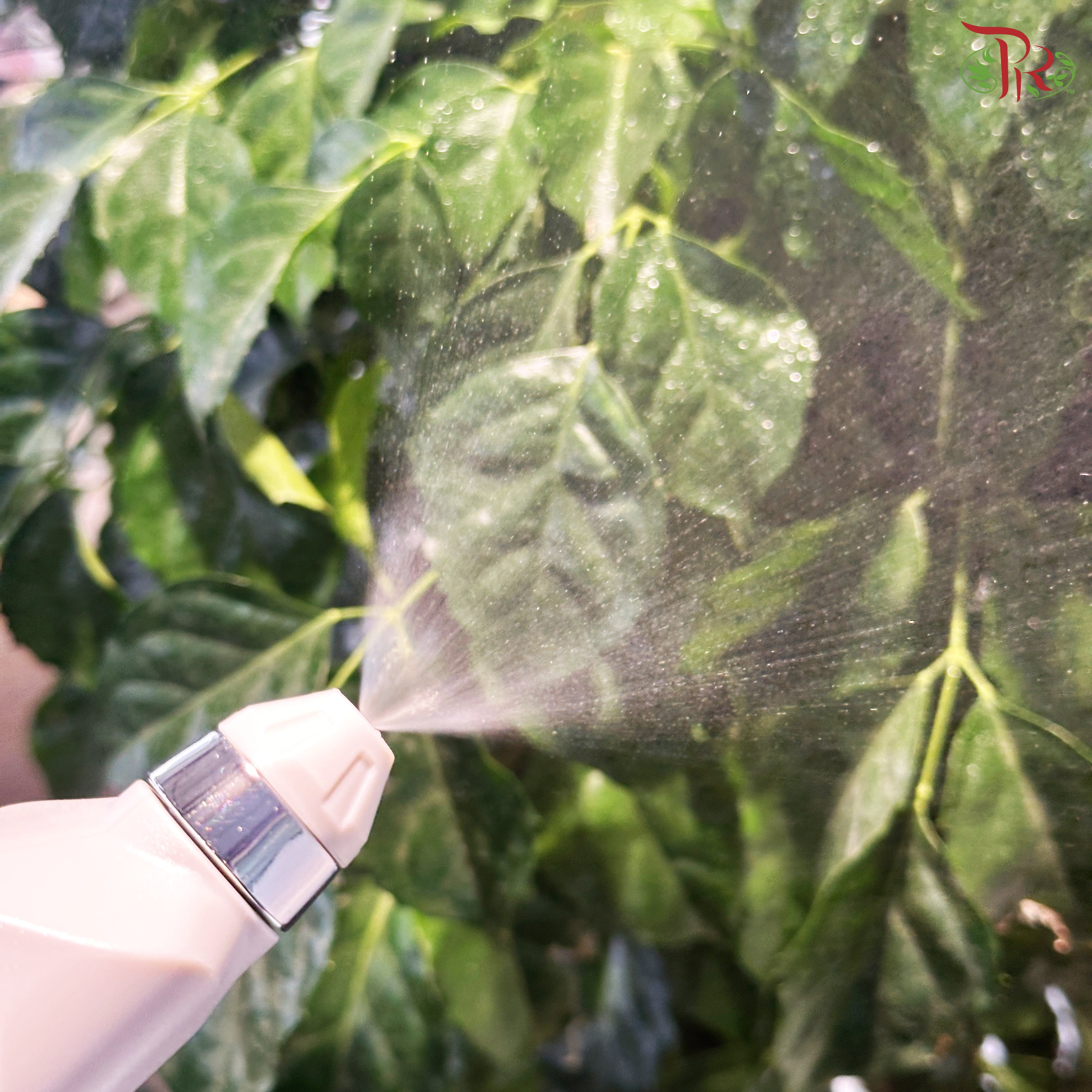 Electric Garden Sprayer 1L - Transparency