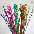 Pussy Willow Single (3FT)- (10 Stems)