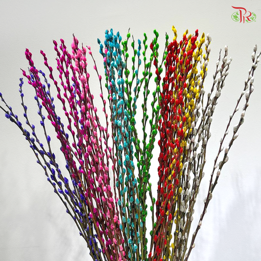 Pussy Willow Single (3FT)- (10 Stems)
