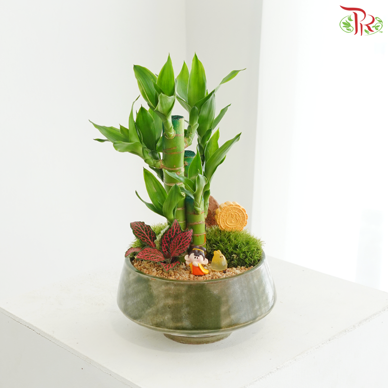 【中秋系列 Mid Autumn Series】Bamboo Blessings Under the Full Moon《月满竹安》
