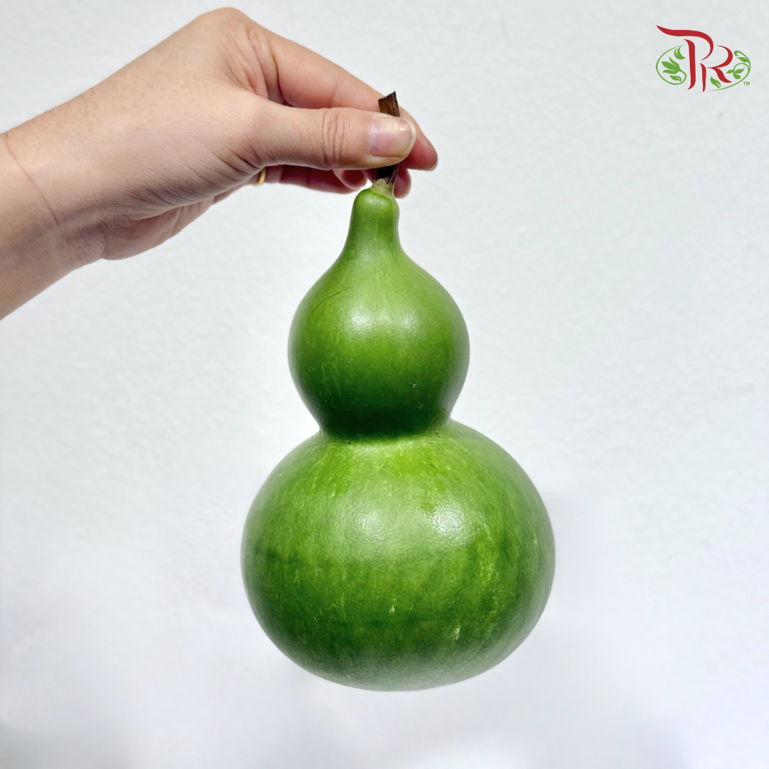 Fresh Bottle Gourd《葫芦籽》(Per Unit)