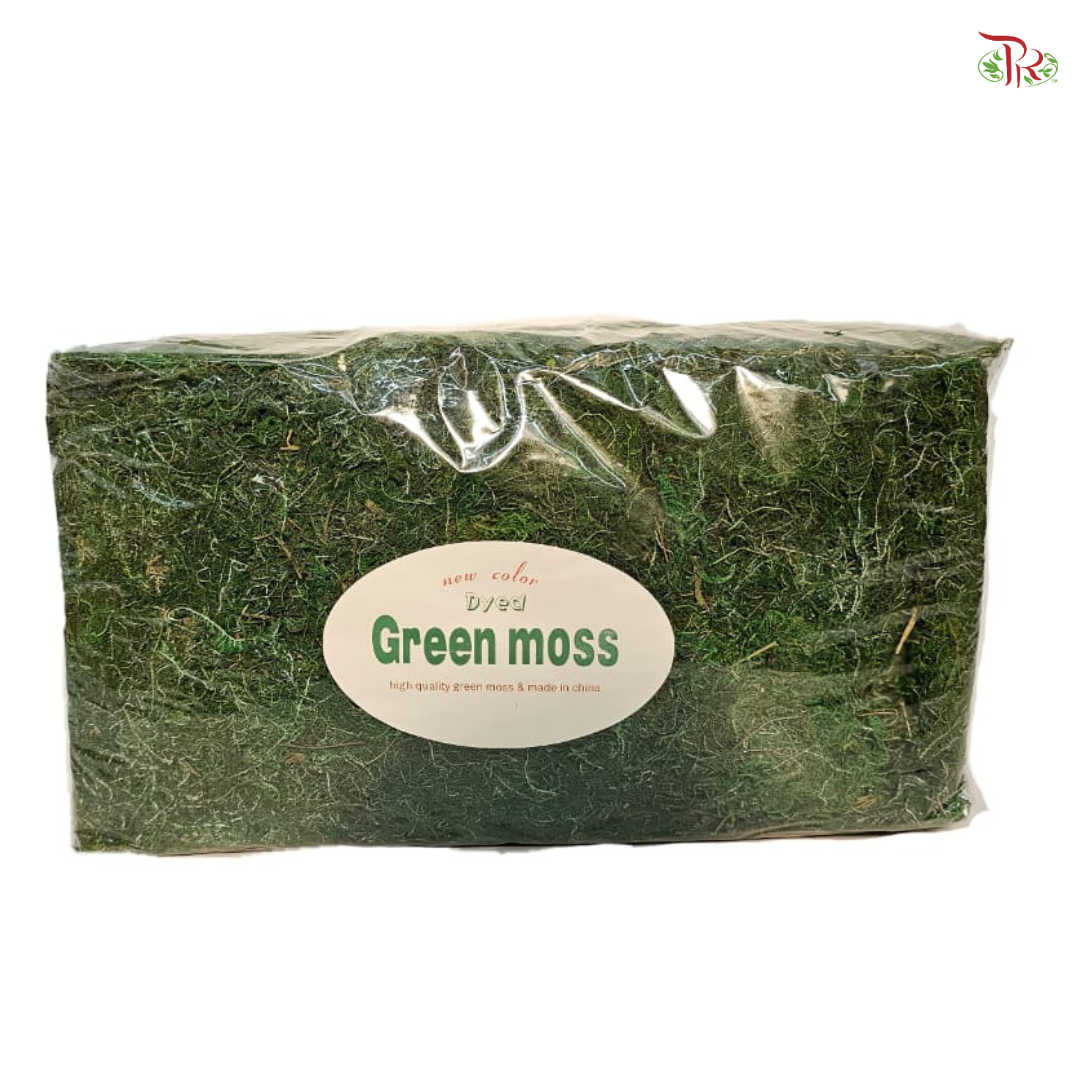 Evergreen Moss 常绿水苔 1kg - Pudu Ria Florist