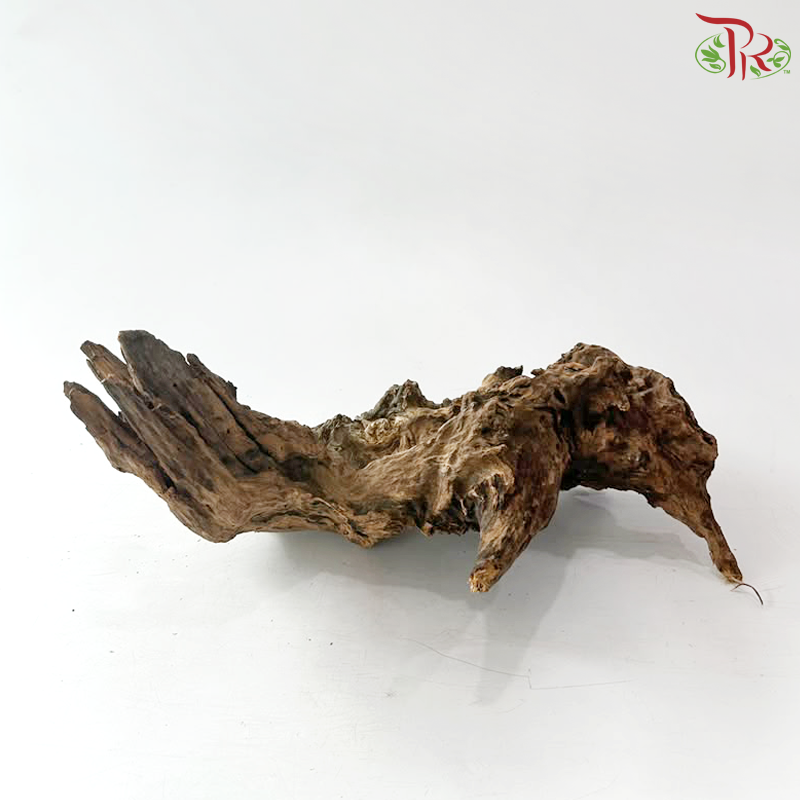 Weathered Wood 风化木 (20-40cm) (1KG)