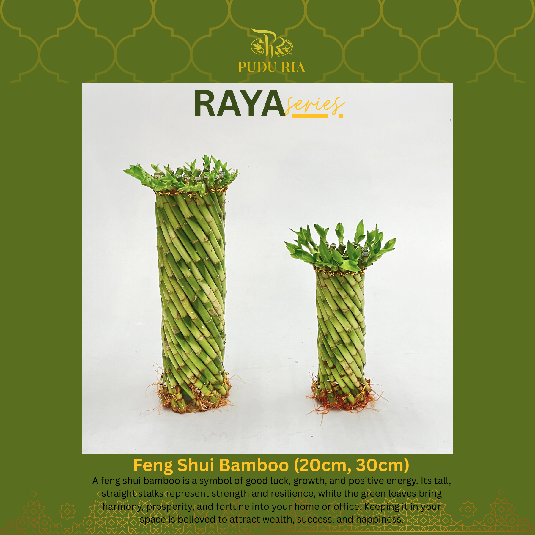 【RAYA 2026】Feng Shui Bamboo