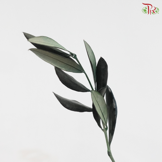 Olive Leaf Preservative - Dyed Dark Green (Per Bunch)