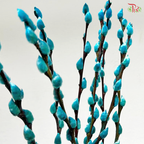 Pussy Willow Single (3FT)- (10 Stems)
