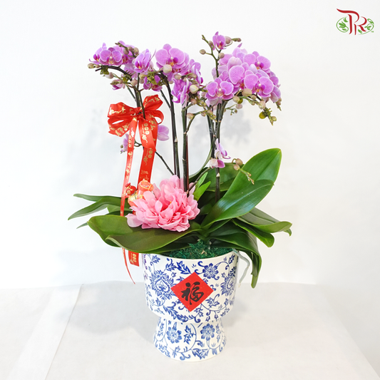 【CNY 2026】Oriental Floral Elegance《东方花韵》(Random Choose Orchid Color)