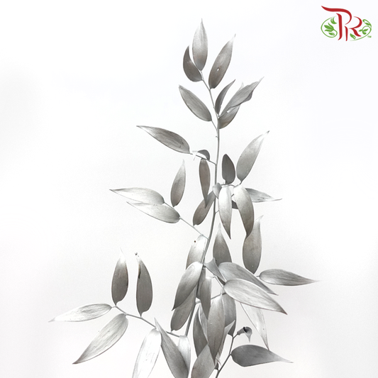 Italy Ruscus Dyed Metal Preservatives - Silver (Per Bunch) - Pudu Ria Florist