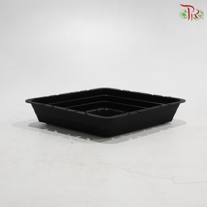 Base Diamond Shape (400) (With Color Option)