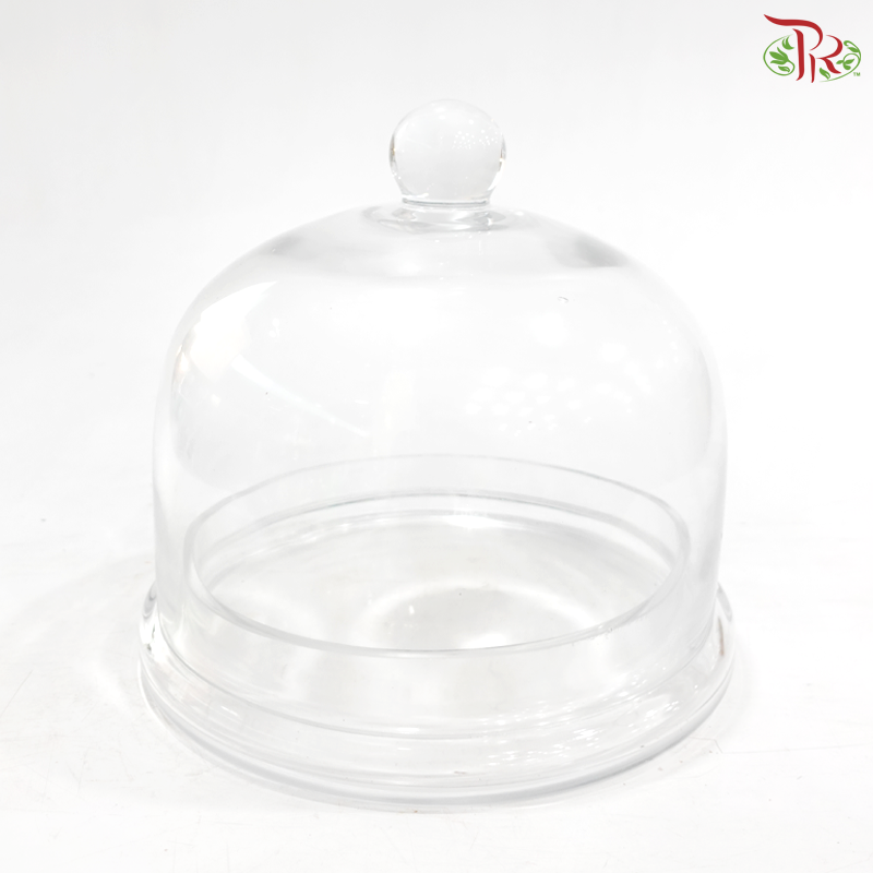 V409426 - Glass Dome