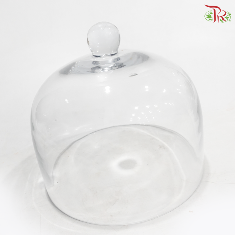 409426 - Glass Dome