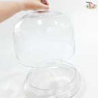 V409426 - Glass Dome