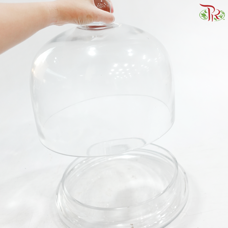 V409426 - Glass Dome