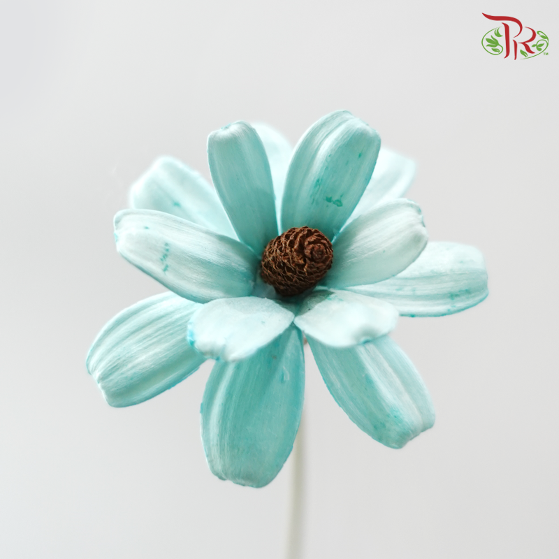 Dried Sunflower-seeds Flower - Blue