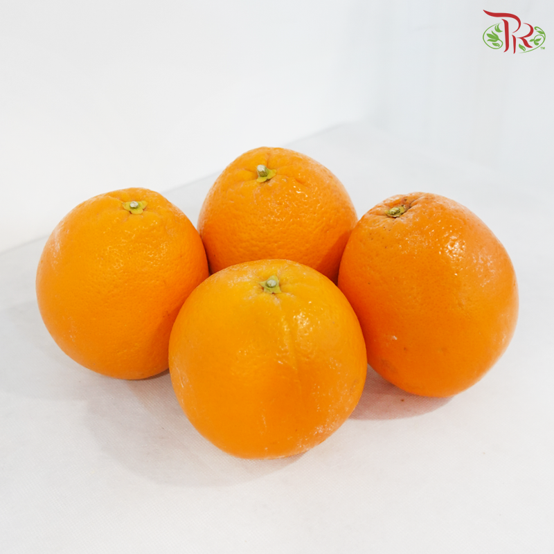 Orange《香橙》(Per Pack)