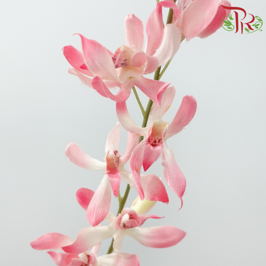 43.5" - Artificial Spider Orchid Spray - Pink (3 Stems)