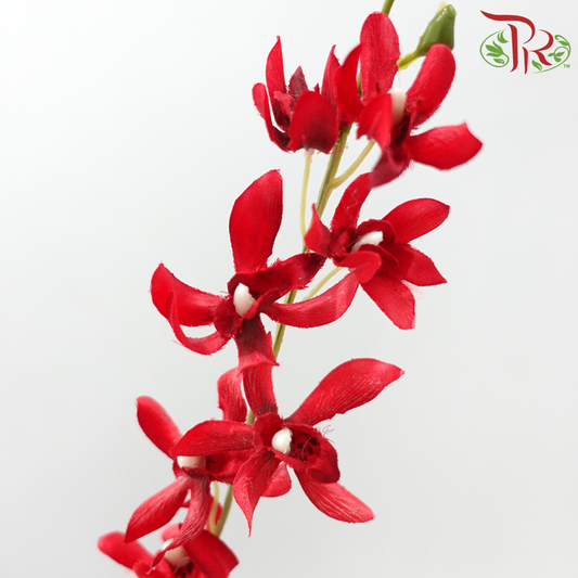 43.5" - Artificial Spider Orchid Spray - Red (3 Stems)