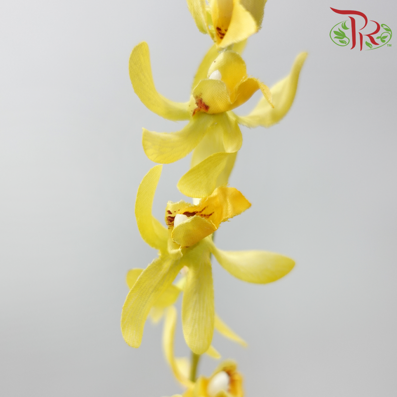 43.5" - Artificial Spider Orchid Spray - Yellow (3 Stems)