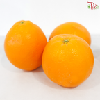Orange《香橙》(Per Pack)