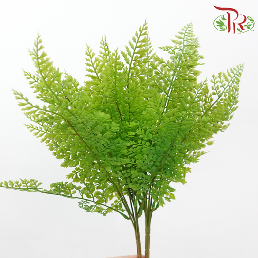 46cm - Artificial Asparagus Fern - Green (2 Stems)