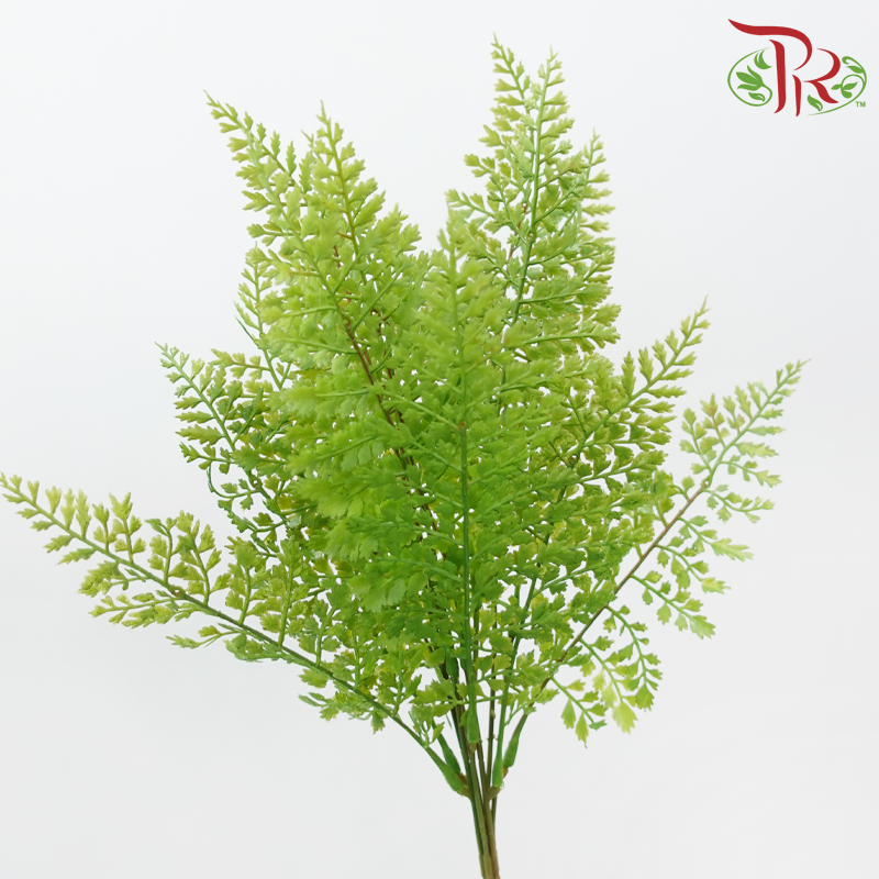 46cm - Artificial Asparagus Fern - Green (2 Stems)