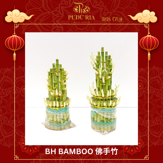 BH Bamboo With Vase (M/24cm  or  L/28cm) 佛手